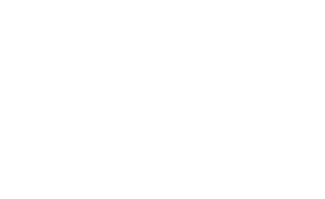 Yamaha Kodiak 450 FWBD