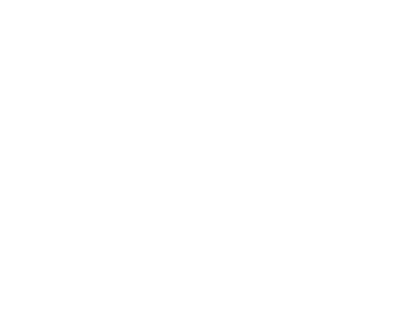 Zestaw malarski BARRACUDA